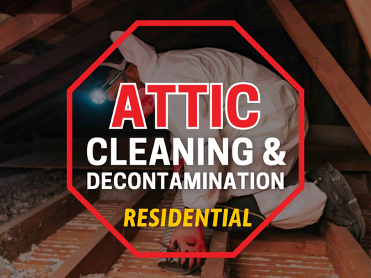 Call 213-205-3767 for Free Estimate - Specialize in Attic Cleaning & Decontamination for Rodent Proofing. Call for an estimate (213) 205-3767 Call 213-205-3767 for Free Estimate - Specialize in Attic Cleaning & Decontamination for Rodent Proofing. Call for an estimate (213) 205-3767