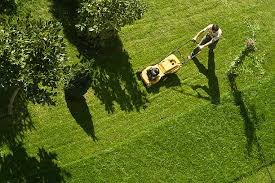 Lawn Services (One Time and Reoccuring) - Call for more info 6123603361 Lawn Services (One Time and Reoccuring) - Call for more info 6123603361
