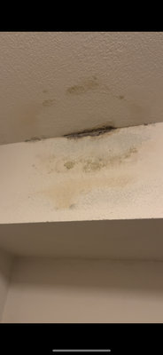 AC Leak - From Leaky Mess to Flawless Finish! Don't let unsightly AC leaks ruin your home! AC Leak - From Leaky Mess to Flawless Finish! Don't let unsightly AC leaks ruin your home!