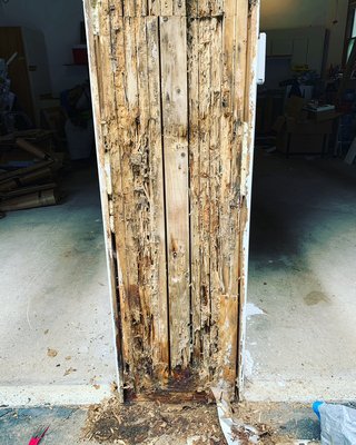 Large Carpenter ant infestation - we do carpenter ant treatments, whether it is treating a active problem or preventative treatments. Large Carpenter ant infestation - we do carpenter ant treatments, whether it is treating a active problem or preventative treatments.