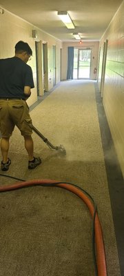 Carpet cleaning - Carpet Rescue was established in 1999 and has been serving the community for over 38 years