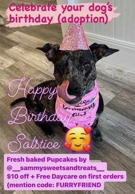 Birthday Celebrations - Whether it is your dog's actual birth-day or their "Gotcha" day, we celebrate it joyfully at Paws & Rec! Home made dog treats & cakes are beautifully presented by Sammy's Sweets & Treats (https://www.instagram.com/__sammysweetsandtreats__/) Birthday Celebrations - Whether it is your dog's actual birth-day or their "Gotcha" day, we celebrate it joyfully at Paws & Rec! Home made dog treats & cakes are beautifully presented by Sammy's Sweets & Treats (https://www.instagram.com/__sammysweetsandtreats__/)