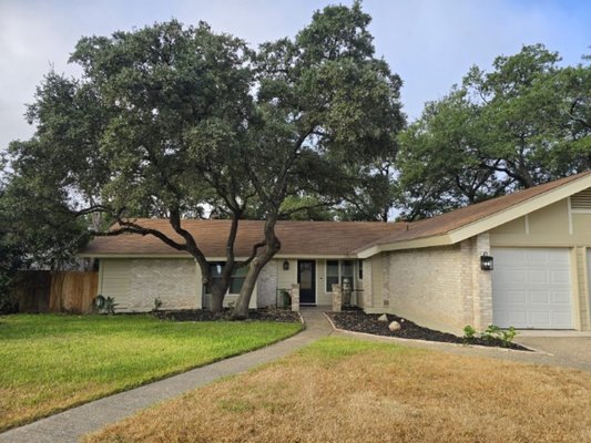 Pruning - We pruned the beautiful trees and raised them up to a safe height above the roof for damage prevention. Pruning - We pruned the beautiful trees and raised them up to a safe height above the roof for damage prevention.