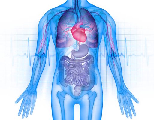 Treatment range (2) -- Internal medicine miscellaneous diseases - Limb Paralysis, Facial Paralysis, Parkinson, Meniere's syndrome, Neurasthenia, Frequent Colds, Chronic Cholecystitis, Cholelithiasis, Urinary Calculi, Urinary Tract Infection, Gastric Ulcer, Gastroenteritis, Type 2 Diabetes, Spontaneous Sweating, Dizziness, Tinnitus, Habituation Constipation, Depression, Sub-Health, Allergic Skin Disease, Allergic Rhinitis, Impotence And Premature Ejaculation, Male Infertility, Shingles, Facial Acne, Smoking Cessation, Treatment for toxicity and side effects of during radiotherapy & chemotherapy of cancer .