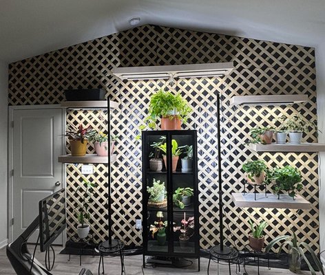Plant wall - This customer wanted to make a wall in their bedroom a plant friendly space so we designed a lattice wall for the plants to climb on with plastic backing so the moisture that came from watering the plants didn’t cause mold issues on the Sheetrock wall. The space was completed with multiple floating shelves to support the various plants. Plant wall - This customer wanted to make a wall in their bedroom a plant friendly space so we designed a lattice wall for the plants to climb on with plastic backing so the moisture that came from watering the plants didn’t cause mold issues on the Sheetrock wall. The space was completed with multiple floating shelves to support the various plants.