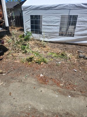 Demolition Services - 🚚 Fast, Reliable Junk Removal! 🚚
Call or text (650) 608-1657 for a free quote and easy haul-away!
Clear out clutter without the hassle—homes, offices, garages, and more. Friendly service, quick turnaround, and satisfaction guaranteed! Demolition Services - 🚚 Fast, Reliable Junk Removal! 🚚
Call or text (650) 608-1657 for a free quote and easy haul-away!
Clear out clutter without the hassle—homes, offices, garages, and more. Friendly service, quick turnaround, and satisfaction guaranteed!