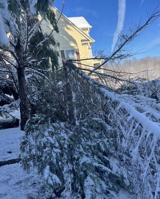 24 hr. Emergency Tree Removal - Storm Damage from January 2022 Emergency Tree Removal 24 hr. Emergency Tree Removal - Storm Damage from January 2022 Emergency Tree Removal