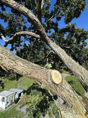 Tree Pruning - Get Your Trees Pruned Properly With the Reliable Tree Service! Bare trees must be pruned once or twice a year. Pruning is essential to monitor the size, structure, health, and appearance of your trees. It’s also important to prune sick or dead branches to prevent the infection from spreading. With our high-quality tree service at All Season Tree Service LLC, you’ll get the results you want and expect. We use our cutting-edge equipment, professional techniques, and great insights to help our customers in Chattanooga, TN achieve their desired results. Tree Pruning - Get Your Trees Pruned Properly With the Reliable Tree Service! Bare trees must be pruned once or twice a year. Pruning is essential to monitor the size, structure, health, and appearance of your trees. It’s also important to prune sick or dead branches to prevent the infection from spreading. With our high-quality tree service at All Season Tree Service LLC, you’ll get the results you want and expect. We use our cutting-edge equipment, professional techniques, and great insights to help our customers in Chattanooga, TN achieve their desired results.