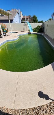 Desert City Pools Projects - Wow, was this pool in dire need of help.  Desert City Pools gave this one the treatment it deserves. Give us a call if you have any pool service needs. We won't disappoint.