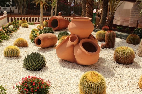 Low water gardens - it is becoming increasingly difficult to keep grass alive with the water restrictions and increasing heat.  ask us about our low water landscapes