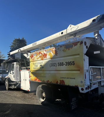 Damage Restoration Services - Our skilled professionals use advanced techniques and equipment to assess the damage and begin the restoration process quickly. We work closely with you and your insurance company to ensure a smooth and efficient claim process, minimizing your out-of-pocket expenses. Call East Coast Tree Service for a free quote! 3025883955