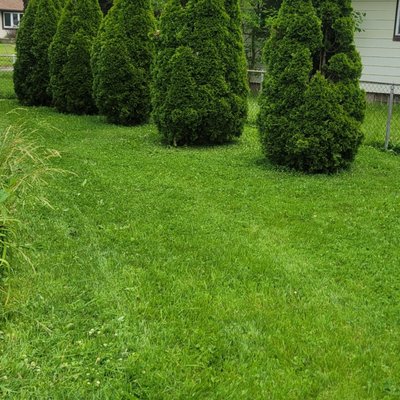 Lawn Mowing - Here are some of the lawn mowing we have done Lawn Mowing - Here are some of the lawn mowing we have done