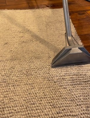 Wool Area Rug - We take a good care of your wool area rug.