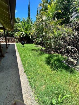 Property maintenance at Aiea - We maintain the property lawnmower, gardens and other trees trimming and removing debris and do blowing up keep the property clean and safe Property maintenance at Aiea - We maintain the property lawnmower, gardens and other trees trimming and removing debris and do blowing up keep the property clean and safe