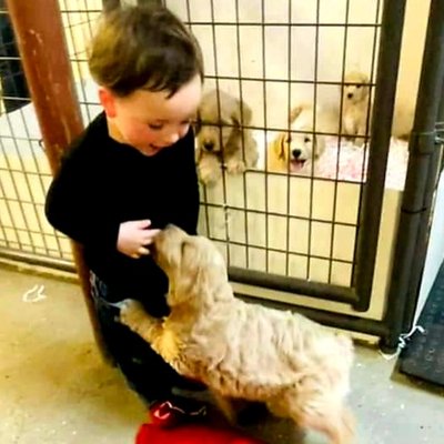 Puppy Love! - "A dog is the only thing on Earth that loves you more than he loves himself." - Josh Billings Puppy Love! - "A dog is the only thing on Earth that loves you more than he loves himself." - Josh Billings