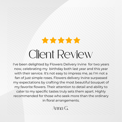 5 Star Reviews - See why our clients love us!