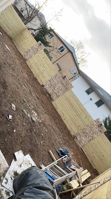 Stump removal - Stump removal