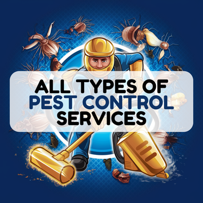 2023 November: #rodentcheck by #wedgewoodpestcontrol in #kissimmeefl - Wedgewood Pest Control expertly conducted a thorough rodent inspection in Kissimmee, FL. 2023 November: #rodentcheck by #wedgewoodpestcontrol in #kissimmeefl - Wedgewood Pest Control expertly conducted a thorough rodent inspection in Kissimmee, FL.