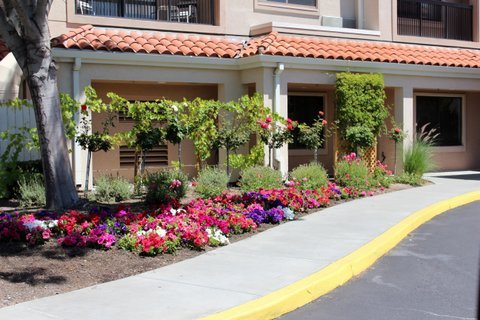 Landscape Maintenance - We are a professional maintenance company with excellent employees and high quality work.