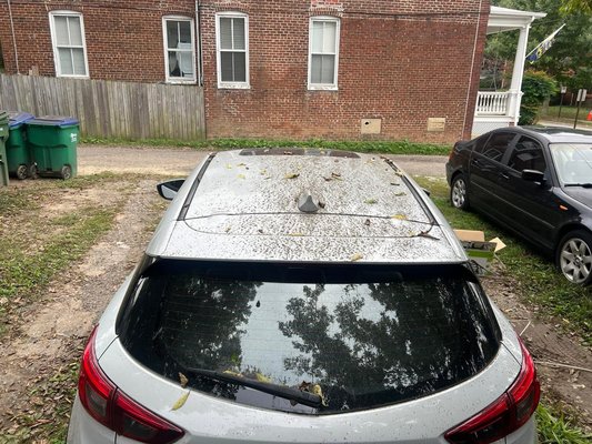 Tree sap removal on a Mazda 3 - Tree sap removal from Mazda
