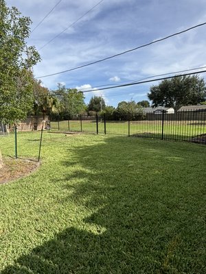 Bayou View and Greenbelt Access - letting the breeze in........This project transformed the backyard by removing the existing wood privacy fence and replacing it with a beautiful ornamental iron fence designed to open the property to views of the bayou and surrounding greenbelt. We also installed a matching walk gate, providing convenient access to the greenbelt while maintaining security and defining the property. The finished project created a more open, attractive outdoor space while giving the family the view and access they wanted. Bayou View and Greenbelt Access - letting the breeze in........This project transformed the backyard by removing the existing wood privacy fence and replacing it with a beautiful ornamental iron fence designed to open the property to views of the bayou and surrounding greenbelt. We also installed a matching walk gate, providing convenient access to the greenbelt while maintaining security and defining the property. The finished project created a more open, attractive outdoor space while giving the family the view and access they wanted.