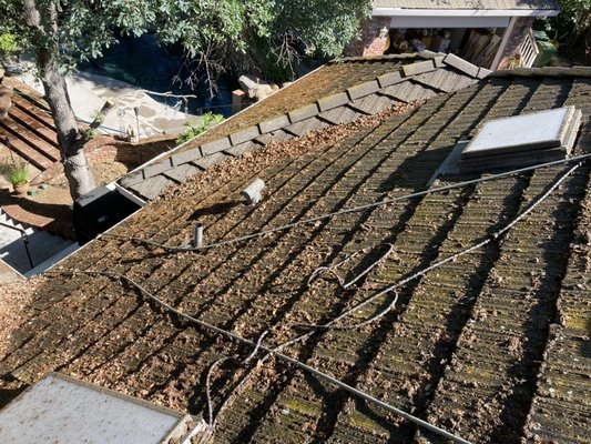 Moss Cleaning Service/Tile Roof Cleaning El Dorado Hills, Ca - This roof cleaning was in El Dorado Hills, Ca. The roof was heavily covered in moss because of tree shading and I removed about 500-700 lbs of moss from the roof. I used low pressure to clean and applied a algaecide post cleaning. All gutters and downspouts plus ground mess are cleaned meticulously.  Moss Cleaning Service/Tile Roof Cleaning El Dorado Hills, Ca - This roof cleaning was in El Dorado Hills, Ca. The roof was heavily covered in moss because of tree shading and I removed about 500-700 lbs of moss from the roof. I used low pressure to clean and applied a algaecide post cleaning. All gutters and downspouts plus ground mess are cleaned meticulously. 