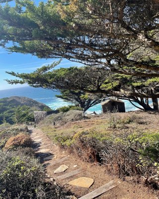 🌱🌳 Professional View Clearance Services - Our weed abatement services focus on clearing your yard of shrubs and dry brush, an essential step in protecting your property from wildfires. Additionally, we specialize in safely removing poison oak, ensuring your outdoor spaces are safe and aesthetically pleasing.

For Weed Abatement or Poison Oak Removal Call Us Today at 831-663-7673!