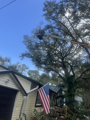 Tree trimming, removal and stump grinding - Several of the jobs I’ve done over the years.