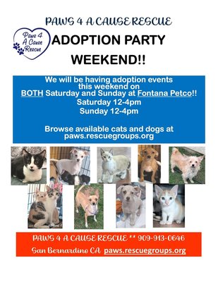 We have so many cuties!! Come see us and tell a friend! - Our application process is online and you can be preapproved prior to attending a pick up event. We hope to see you soon. donations and info: http://linktr.ee/paws4acauserescue We have so many cuties!! Come see us and tell a friend! - Our application process is online and you can be preapproved prior to attending a pick up event. We hope to see you soon. donations and info: http://linktr.ee/paws4acauserescue
