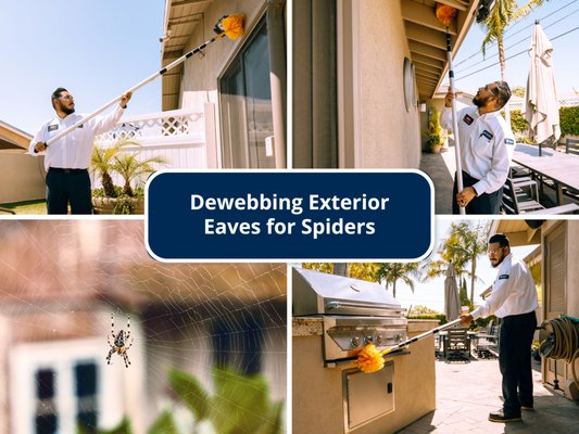Dewebbing exterior eaves for spiders - With a range of treatment options from recurring quarterly or bi-monthly appointments to one-time treatments, we’ll be sure to have the solution you need to make your pest problems a thing of the past. Dewebbing exterior eaves for spiders - With a range of treatment options from recurring quarterly or bi-monthly appointments to one-time treatments, we’ll be sure to have the solution you need to make your pest problems a thing of the past.