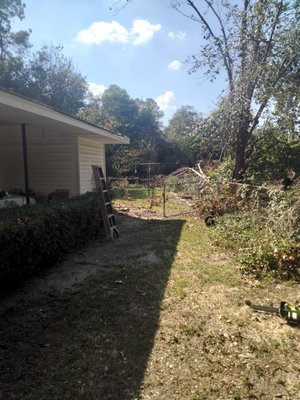 2024 tree removal - customer had tree on home and removed quickly and promptly . it was a good thing for her to give us a call cuz we maximize her view because it was minimized due to the tree covering her whole right side of house and on top of house customer was an elder so she did get the senior citizen discount and came out on top 2024 tree removal - customer had tree on home and removed quickly and promptly . it was a good thing for her to give us a call cuz we maximize her view because it was minimized due to the tree covering her whole right side of house and on top of house customer was an elder so she did get the senior citizen discount and came out on top