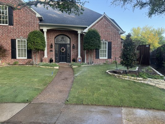 Grass installation willow bend 2025 - This house has st agustine but never grows healthy and nice because the house has a couple of huge trees with shade so we suggested to use zoysia grass 
And here is the result of the installation with the correct preparation of the area and leveling