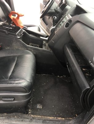 Interior Detail - We’re passionate about car care and take pride in offering a fantastic service. Let us revive your car and have it looking like brand new again.