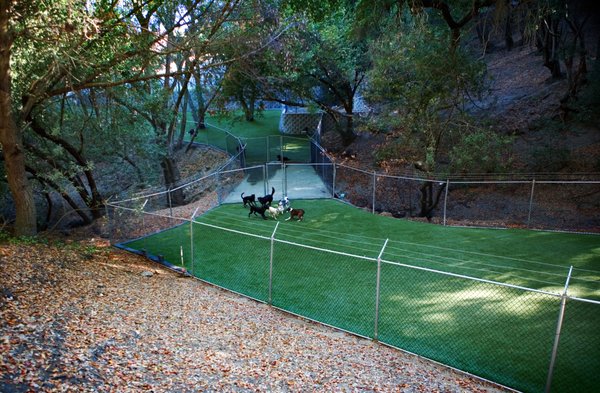 outside play areas - For those guests’ who prefer All-Day-Play with other dogs, many Play Areas are available where supervised playgroups are tailor-made to meet the specific needs of your dog according to its’ temperament, personality, sociability and play style. outside play areas - For those guests’ who prefer All-Day-Play with other dogs, many Play Areas are available where supervised playgroups are tailor-made to meet the specific needs of your dog according to its’ temperament, personality, sociability and play style.
