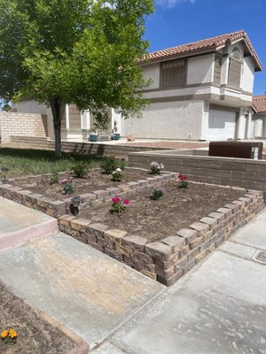 Lawn Conversion with planters for rose bushes ! - In this project, our customer came to us and asked us that their lawn wasn’t looking so good and they were looking at converting it, but they did not like the artificial turf look so they would rather have raised planter beds! We discussed all of their options and only converted half of the lawn. We saved them on water, including putting new irrigation lines for plants and trees. Lawn Conversion with planters for rose bushes ! - In this project, our customer came to us and asked us that their lawn wasn’t looking so good and they were looking at converting it, but they did not like the artificial turf look so they would rather have raised planter beds! We discussed all of their options and only converted half of the lawn. We saved them on water, including putting new irrigation lines for plants and trees.