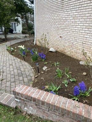 landscaping cleanup and mulch installations - in A summer place landscaping We want you to have a nice experience with our gardening work landscaping cleanup and mulch installations - in A summer place landscaping We want you to have a nice experience with our gardening work