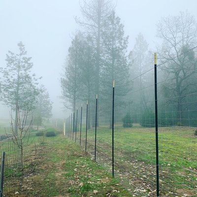 Our works with Wire Fences - Some great examples on our work with wire fencing. It's all good for wether you're keeping pests in or out, or just looking to improve property value. Our works with Wire Fences - Some great examples on our work with wire fencing. It's all good for wether you're keeping pests in or out, or just looking to improve property value.