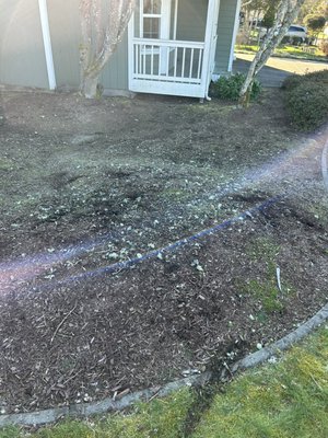 Debris removal! Lakewood, WA - Debris removal on a Sunday afternoon( March 17, 2024) Debris removal! Lakewood, WA - Debris removal on a Sunday afternoon( March 17, 2024)