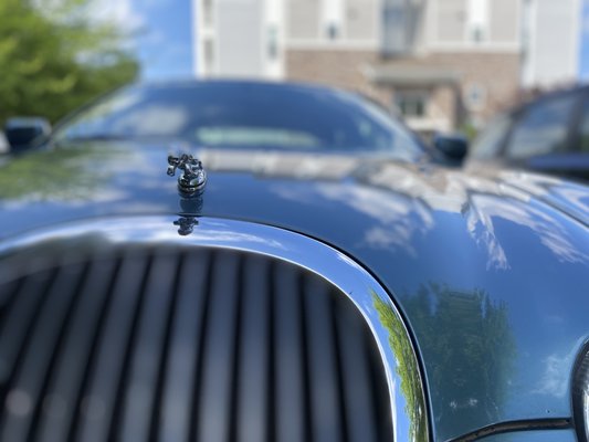 2000 Jaguar S-Type - This Jaguar S-Type had sat for months after being used and abused. The owner knew he had to have it cleaned before he would be able to drive it again and enjoy it. We got him back that gorgeous car he enjoyed!