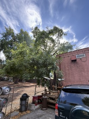 Tree trimming. Weight reduction. - 🌳💪 Big Tree, No Problem!
At Novato Tree Service Company, we just tackled a massive Black Walnut Tree that had grown wild and dangerous. With precision, care, and professionalism, we pruned it safely and beautifully—making the area safer and more stunning.
✅ Safety first
✅ Detailed work
✅ Results that protect your home and enhance your surroundings
If you need help with overgrown or hazardous trees, we’re here to assist you. 💪🌿
#NovatoTreeService #TreeCare #ProfessionalTreeService #SafetyFirst Tree trimming. Weight reduction. - 🌳💪 Big Tree, No Problem!
At Novato Tree Service Company, we just tackled a massive Black Walnut Tree that had grown wild and dangerous. With precision, care, and professionalism, we pruned it safely and beautifully—making the area safer and more stunning.
✅ Safety first
✅ Detailed work
✅ Results that protect your home and enhance your surroundings
If you need help with overgrown or hazardous trees, we’re here to assist you. 💪🌿
#NovatoTreeService #TreeCare #ProfessionalTreeService #SafetyFirst