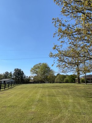 2nd customer 3rd cut of spring - 3rd cut this spring for my customer. 2nd customer 3rd cut of spring - 3rd cut this spring for my customer.
