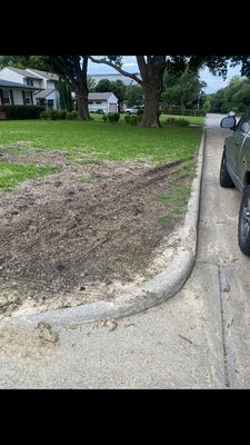 Sod installation - Sod installation for the client.