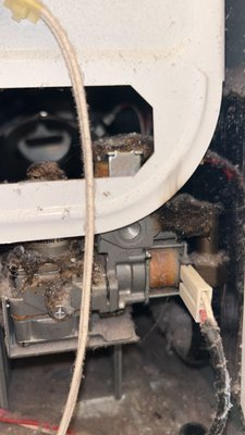 Charred Lint - I had just cleaned out a dryer vent for a client in Laguna Hills, and I came across some burnt charred lint inside their dryer. I will upload a picture... This is a sign where it could have caught on fire because lint will go onto the heating element and that's when it would start. Charred Lint - I had just cleaned out a dryer vent for a client in Laguna Hills, and I came across some burnt charred lint inside their dryer. I will upload a picture... This is a sign where it could have caught on fire because lint will go onto the heating element and that's when it would start.