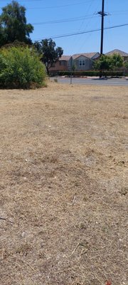 Clean Up - Some more clean-ups of land went from out of control to amazing in no time. Clean Up - Some more clean-ups of land went from out of control to amazing in no time.