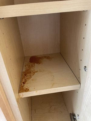 Move out Cleaning - Move out cleaning