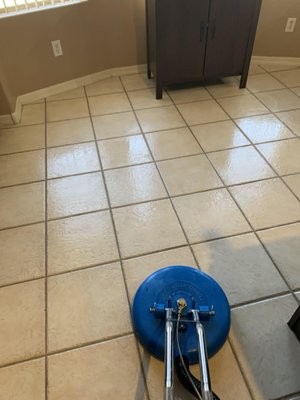 Residential Carpet Cleaning - Deep Steam Cleaning
Carpet Cleaning
Pet Treatment
Tile/Grout
Rug Cleaning