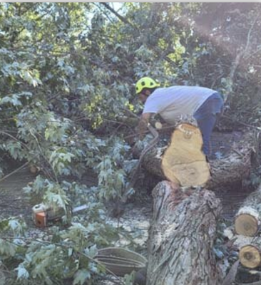 Tree & Stump Removal - Don't Put Off Your Tree Removal
Depend On Us For Emergency Services In Battle Creek, Mi Or Beyond
Trees are a beautiful addition to nearly any property. However, if they’re not healthy, they can create significant safety risks. Getting rid of a tree is simple when you work with Brawner’s Tree Service based in Battle Creek, MI. We’ll take care of your tree removal or brush removal so you won’t have to worry anymore.

Do you need to schedule tree removal? Call 269-419-3157 now to speak with a team member.