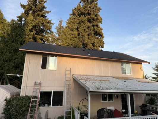 Siding Replacement - We replaced the old T1-11 siding with the beautiful painted European-style siding.
