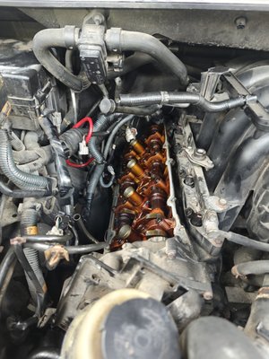 V8 5.6Liter Valve Cover Gaskets - These valve cover gaskets were done a 2006 Infiniti QX56 V8 5.6Liter. They were leaking terribly and causing oil to leak out and burn up on the catalytic converter. The customer was very concerned due to the huge amounts of smoking. V8 5.6Liter Valve Cover Gaskets - These valve cover gaskets were done a 2006 Infiniti QX56 V8 5.6Liter. They were leaking terribly and causing oil to leak out and burn up on the catalytic converter. The customer was very concerned due to the huge amounts of smoking.