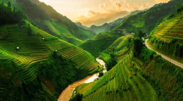 Vietnam Visa - Need a Vietnam visa—quick and easy? Peninsula Visa offers Business eVisas, Tourist eVisas, and Visa-on-Arrival services, with processing times tailored to your needs—from 10-day standard and 7-day expedited service to 4-day rush, 2-day emergency, and even a 3-hour VOA option. Backed by decades of expertise, our professional team ensures every application is handled swiftly, securely, and with care.